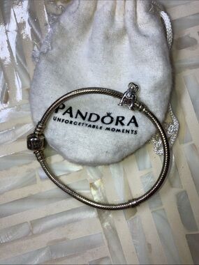 Pandora Silver 925  Bracelet with RETIRED LABRADOR DOG Charm